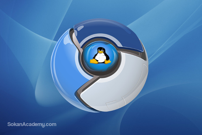 اجرای برنامه‌های لینوکسی در ماشین مجازی Chrome OS