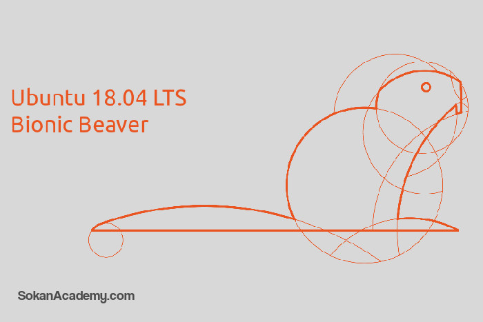 Bionic Beaver: آشنایی با نسخهٔ LTS جدید اوبونتو