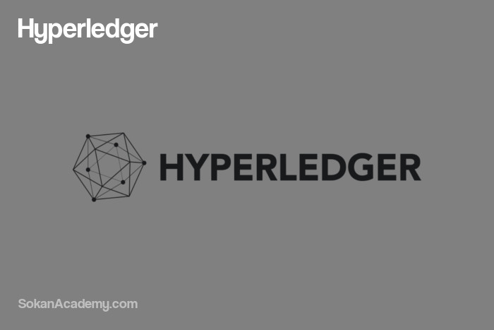 Hyperledger: پلتفرمی اپن‌سورس برای توسعهٔ فناوری بلاکچین