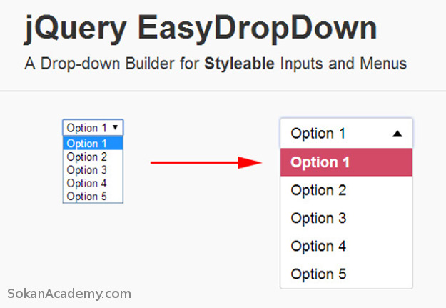 EasyDropDown.js: افزونه‌ای برای کاربرپسند‌تر کردن تگ select