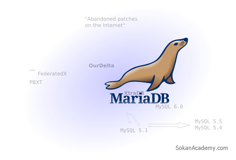 مهاجرت گوگل از MySQL به MariaDB